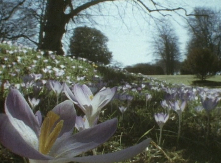 1990 BBC TV Horizon – The Britannic Greenhouse